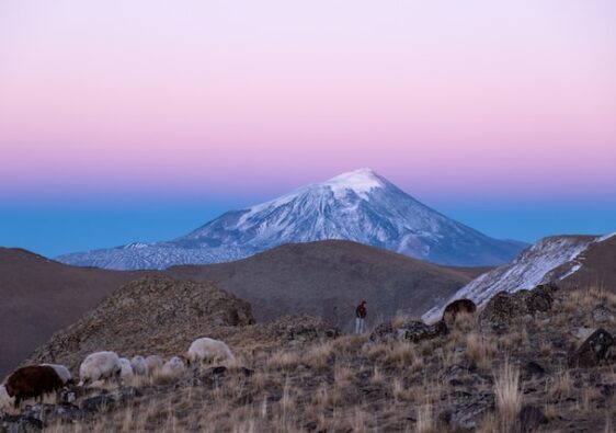 Ararat