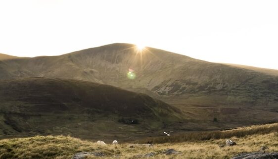 Snowdon